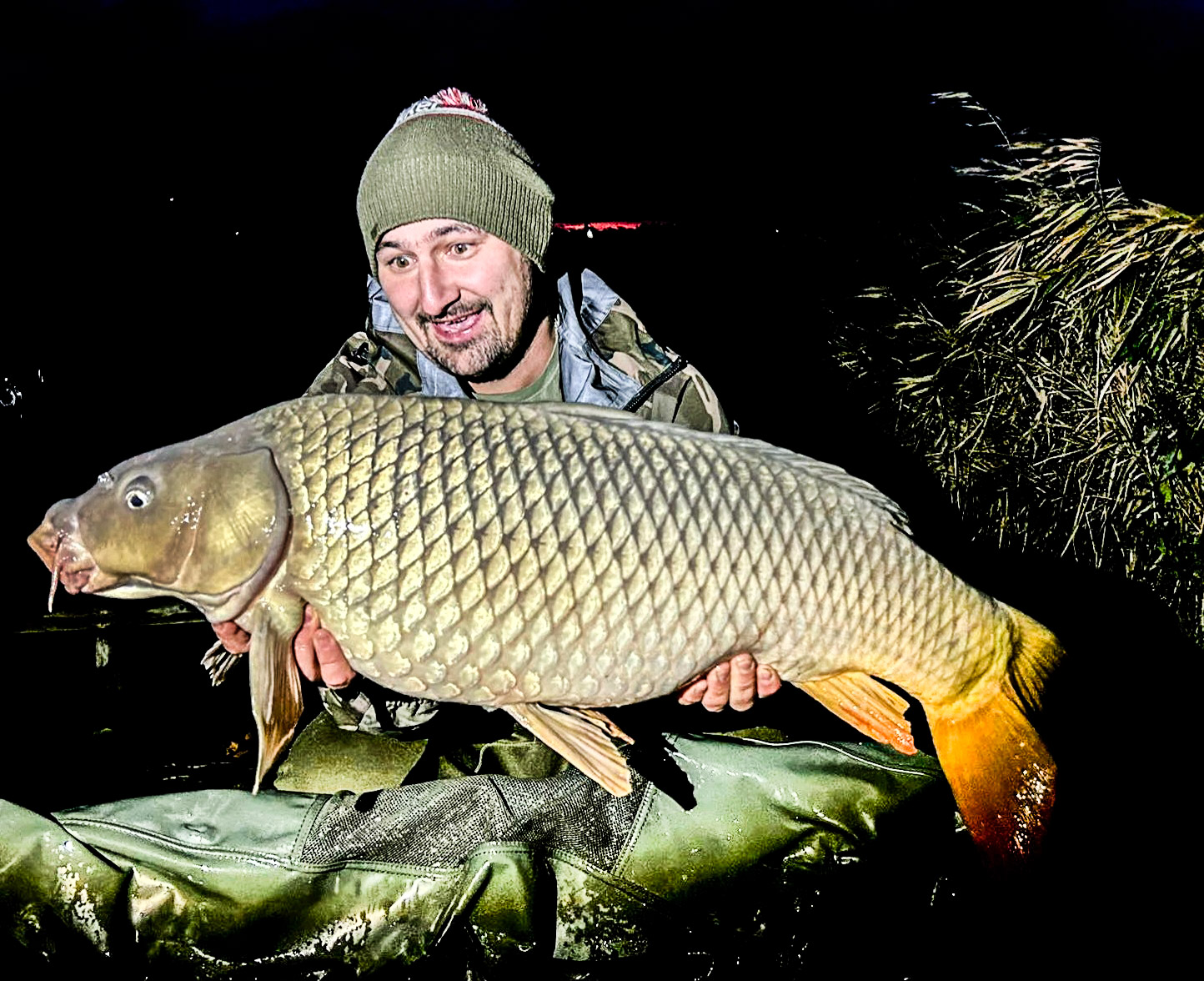 EVENTUS Premium Hookbait – Dippelt csalizóbojli