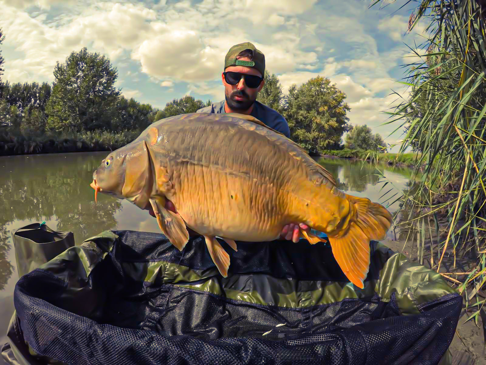 EVENTUS Premium Hookbait – Dippelt csalizóbojli